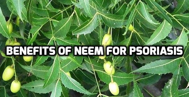 Neem sorion vay nen (1)