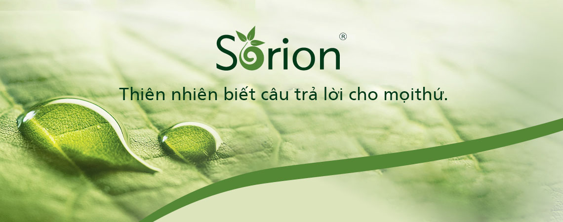 Sorion banner 4